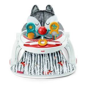 Fisher Price Baby Chair